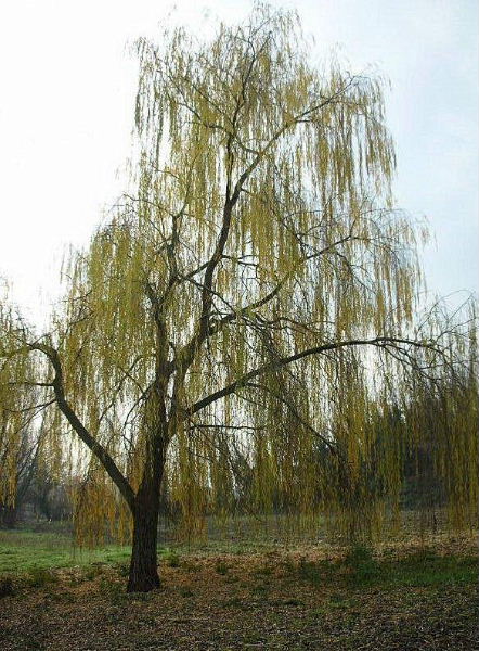 I colori dell''autunno...